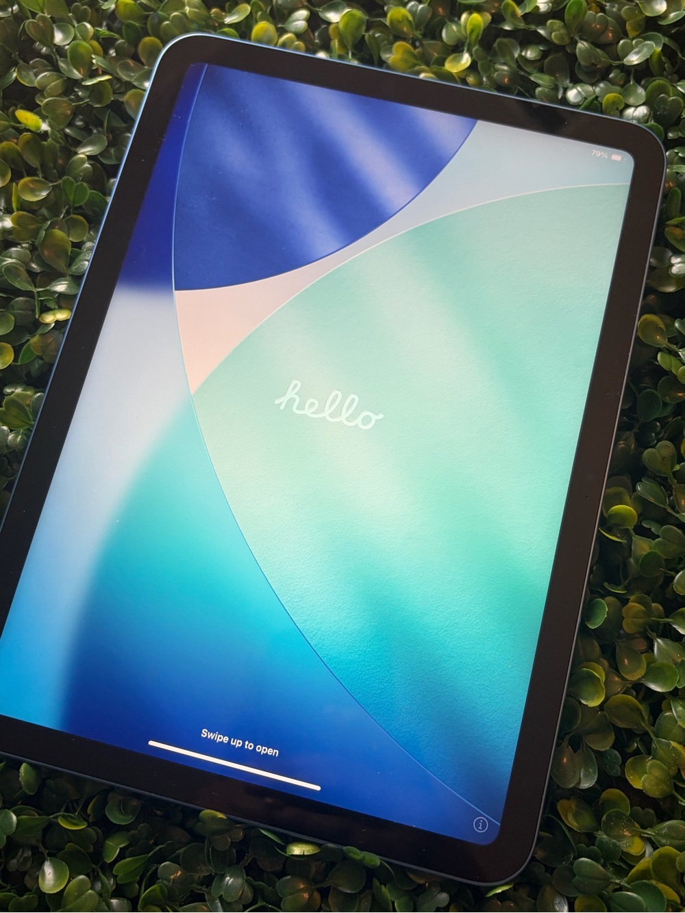 Apple iPad